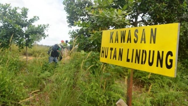 Destinasi wisata bagi pecinta alam, Hutan Lindung Bontang