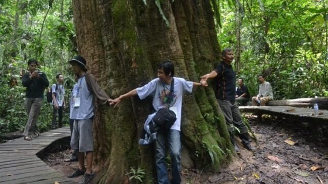 Destinasi wisata bagi pecinta alam, Taman Nasional Kutai Bontang