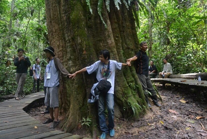 Taman Nasional Kutai