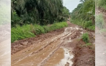 Jalan Berlumpur di Desa Libur Dinding Menghambat Akses Warga