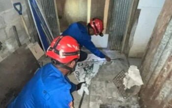 Rescue Damkar Bontang Berhasil Evakuasi Ular Kobra