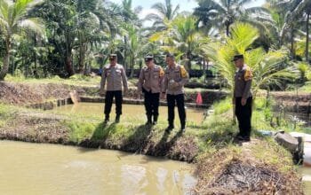 Kapolres Bontang, AKBP Alex F.L Tobing saat melakukan kunjungan ke salah satu budidaya ikan tawar di Pagung, Bontang Lestari, Senin (4/11/2024).
