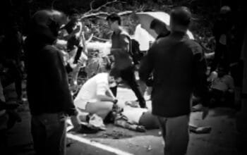 Dua Pengendara Tertimpa Pohon Tumbang di Jalan Tembus PKT