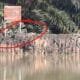 Seekor buaya asik berjemur di Danau BSD, Sabtu (22/2/2025).