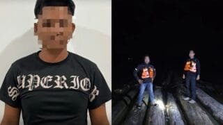 Tebang Pohon Sembarangan, Pria Paruh Baya di Kukar Terancam 5 Tahun Penjara