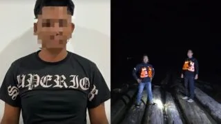 Tebang Pohon Sembarangan, Pria Paruh Baya di Kukar Terancam 5 Tahun Penjara