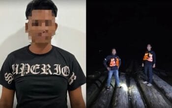 Tebang Pohon Sembarangan, Pria Paruh Baya di Kukar Terancam 5 Tahun Penjara