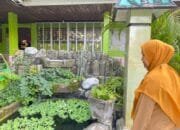 SDN 008 Bontang Utara Hadirkan Taman dan Kolam Sebagai Media Belajar Murid