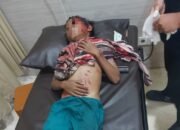 Buaya Serang Bocah 11 Tahun di Bontang, Warga Terjun Selamatkan