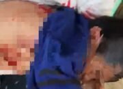 Diterkam Buaya 4,5 Meter Saat Air Pasang, Abisar Bertaruh Nyawa di Rawa Selambai Bontang