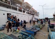Jelang Mudik, Tiket Kapal PELNI Bontang Diskon 30 Persen!