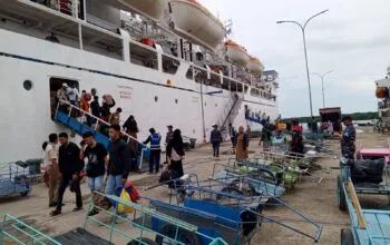 Update Jadwal Kapal Pelni dari Bontang, Cek Tanggal dan Tujuannya