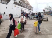 Jadwal Kapal PELNI Bontang Jelang Mudik Resmi Rilis, Tiket Diskon 30 Persen
