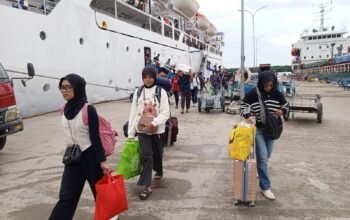 Jadwal Kapal PELNI Bontang Jelang Mudik Resmi Rilis, Tiket Diskon 30 Persen
