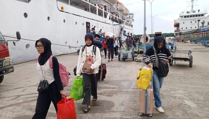 Jadwal Kapal PELNI Bontang Jelang Mudik Resmi Rilis, Tiket Diskon 30 Persen