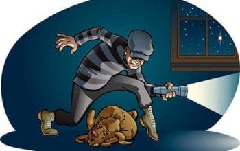 Polisi Bongkar Pencurian Berantai di Bontang, Terduga Pasutri dan Dua Rekan Diamankan