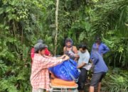 Modus Ajak Beli Tembaga, Pencari Besi Tua di Kutai Barat Tewas Dianiaya di Kebun Sawit