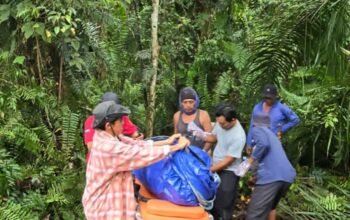 Modus Ajak Beli Tembaga, Pencari Besi Tua di Kutai Barat Tewas Dianiaya di Kebun Sawit