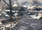 Kebakaran di belakang Hotel Andika, pertigaan Jalan Veteran, Jalan Intan, dan Jalan Berlian, RT 21, Kelurahan Berbas Tengah, Kecamatan Bontang Selatan, Minggu (22/3/2026).