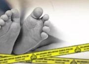 Diduga Tabrak Lari, Balita di Bontang Meninggal Dunia dengan Luka Parah di Kepala