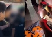 Mobil Pembawa Sabu 11 Kg Diringkus di Pasar Sangatta