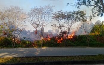 Damkar Bontang Barat Tangani Kebakaran Lahan, Api Berhasil Dipadamkan
