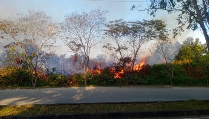 Damkar Bontang Barat Tangani Kebakaran Lahan, Api Berhasil Dipadamkan