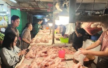 Harga Cabai dan Ayam di Bontang Mulai Merangkak Naik Jelang Idul Adha