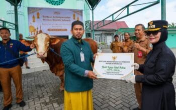 Bantuan Sapi Kurban Presiden untuk Bontang Disalurkan ke Warga Tanjung Laut