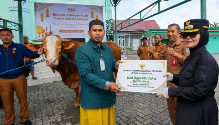Bantuan Sapi Kurban Presiden untuk Bontang Disalurkan ke Warga Tanjung Laut