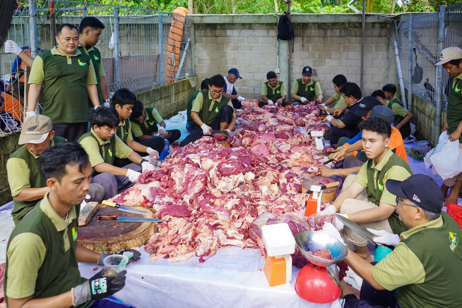 Pupuk Kaltim Salurkan Hewan Kurban untuk Ribuan Penerima Manfaat di Bontang. (FOTO: IST)