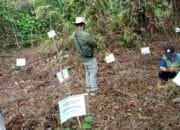 DLH Bontang Libatkan ASN dalam Program Penghijauan Lewat Penanaman Pohon