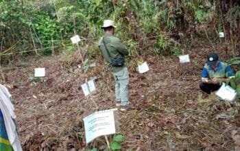 DLH Bontang Libatkan ASN dalam Program Penghijauan Lewat Penanaman Pohon