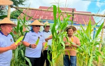 Lapas Bontang Semarakkan Kemerdekaan dengan Porsenap dan Budidaya Pangan Warga Binaan