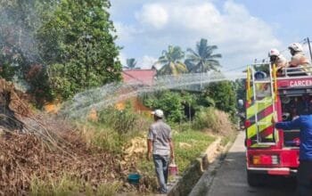 Damkar Bontang Tangani Kebakaran Lahan Semak yang Mengancam Permukiman
