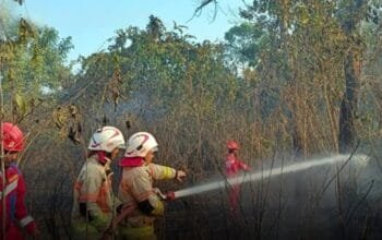Lahan Terbakar di Bawah Kabel PLN Bontang, Damkar Padamkan Api dalam Dua Jam