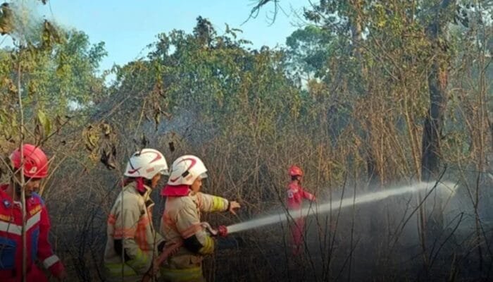 Lahan Terbakar di Bawah Kabel PLN Bontang, Damkar Padamkan Api dalam Dua Jam
