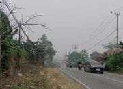 Kabut Asap Selimuti Teluk Pandan, Warga Diimbau Gunakan Masker