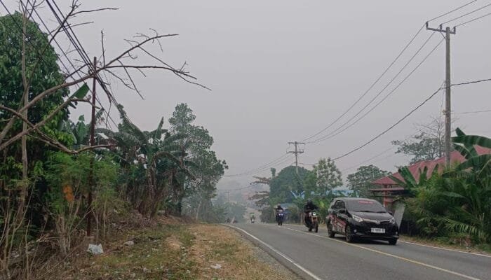 Kabut Asap Selimuti Teluk Pandan, Warga Diimbau Gunakan Masker