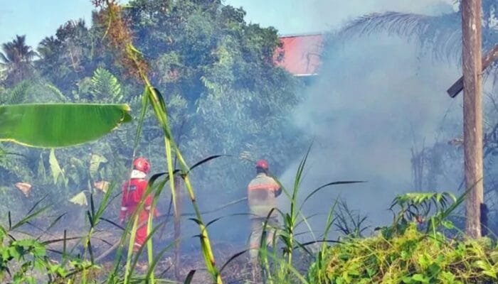 Karhutla Kembali Mengintai Bontang, 2,5 Hektare Lahan Terbakar dalam Sehari