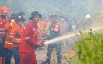 Karhutla di IKN Masuk Ranah Hukum, Satu Terduga Pelaku Dilaporkan dan Perusahaan Kena Sanksi