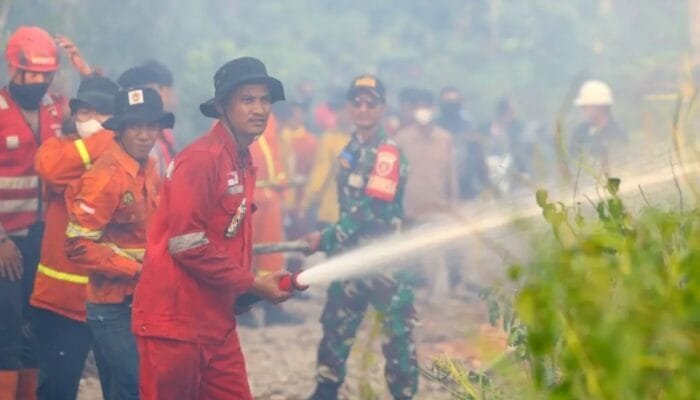 Karhutla di IKN Masuk Ranah Hukum, Satu Terduga Pelaku Dilaporkan dan Perusahaan Kena Sanksi