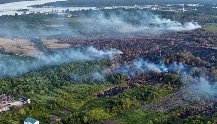 Asap Karhutla Bukan Debu Biasa, Ini Dampaknya ke Saluran Pernapasan