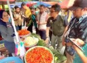 Cabai Lokal Tembus Rp100 Ribu per Kg, Pemkot Balikpapan Sebut Harga Masih Wajar