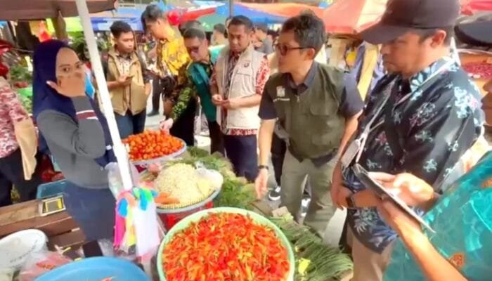 Cabai Lokal Tembus Rp100 Ribu per Kg, Pemkot Balikpapan Sebut Harga Masih Wajar