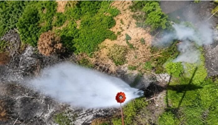 Karhutla IKN Digempur 15 Kali Waterbombing, Asap Mulai Berkurang