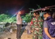 Lahan Kering dan Angin Kencang Picu Kebakaran di Lempake Samarinda, 10 Hektare Terbakar