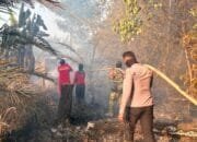 Lahan Warga di Sangkulirang Terbakar, Puntung Rokok Diduga Jadi Pemicu