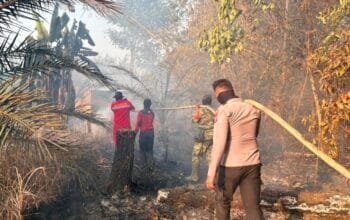 Lahan Warga di Sangkulirang Terbakar, Puntung Rokok Diduga Jadi Pemicu