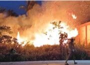 Api Lahan Ancam Rumah Warga di Bontang Lestari, Tiga Unit Damkar Berhasil Kendalikan Kebakaran